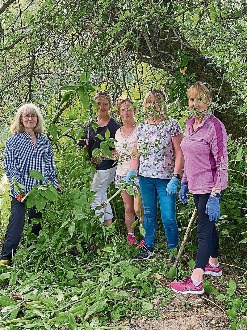 Bennettsbridge volunteers play their part in removing invasive plant species in Kilkenny