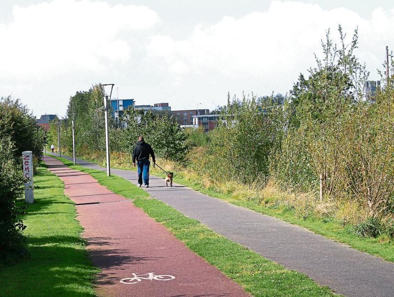 Cameras at hotspot for anti-social behaviour in Limerick not monitored live