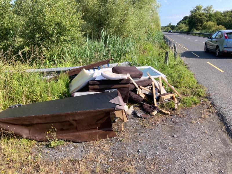 Appeal for witnesses after rubbish dumped on busy Waterford road