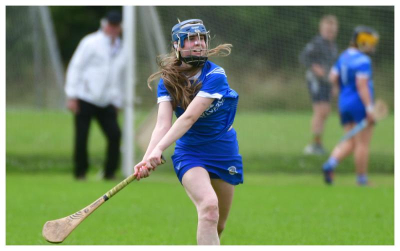 Laois Camogie's path to avoid All-Ireland relegation revealed