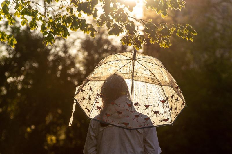 WEATHER: Brollys up! Scattered outbreaks of rain expected today (June 30)
