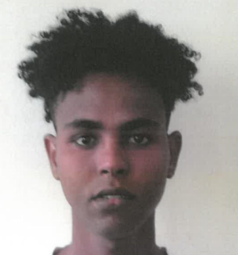 Have you seen this boy? Gardaí seek information on missing Carlow teenager