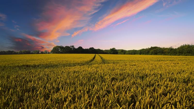 Latest vote on Nature Restoration Law raises significant questions