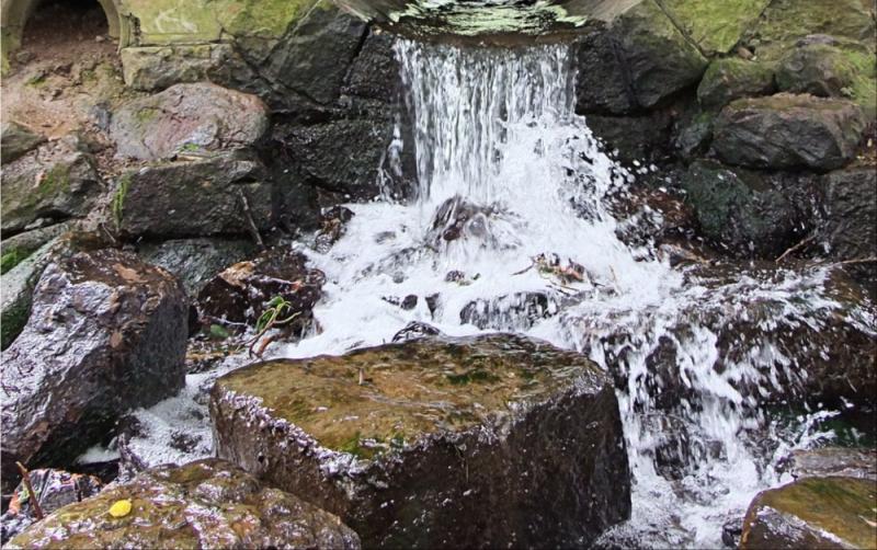 Carlow County Council called upon to investigate the water and sewerage issues in Bagenalstown