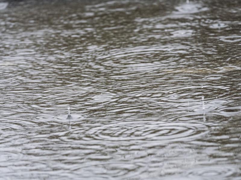 Huge downpours forced Tipperary Cemetery Mass indoors