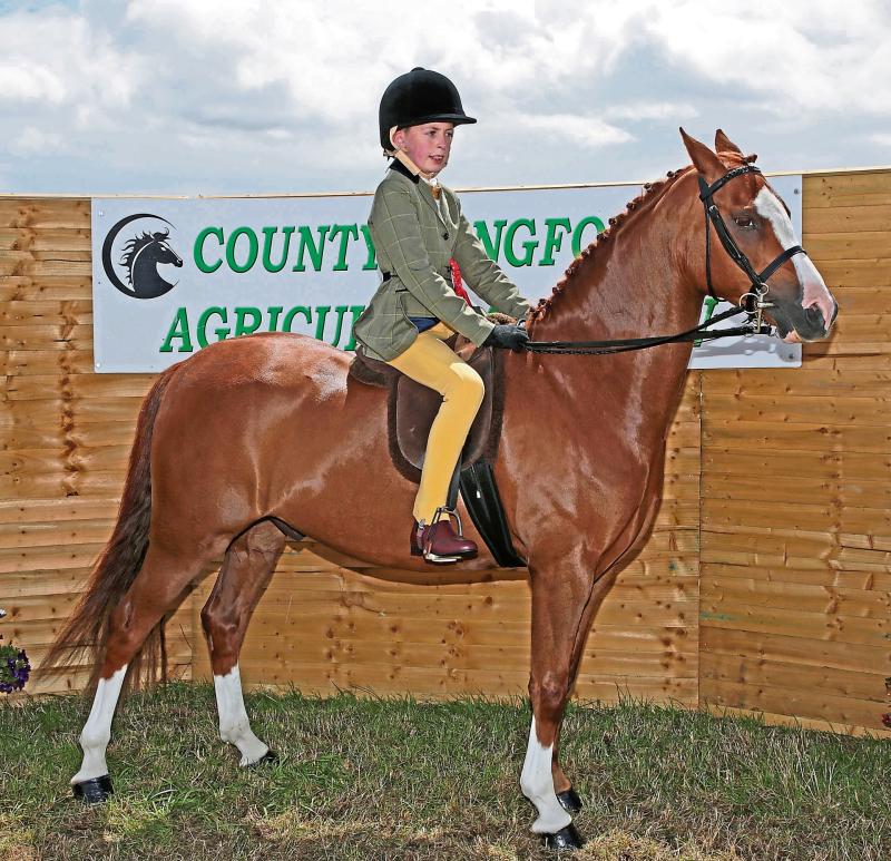 Youngsters shine in array of horse and pony events at Longford Agricultural Show