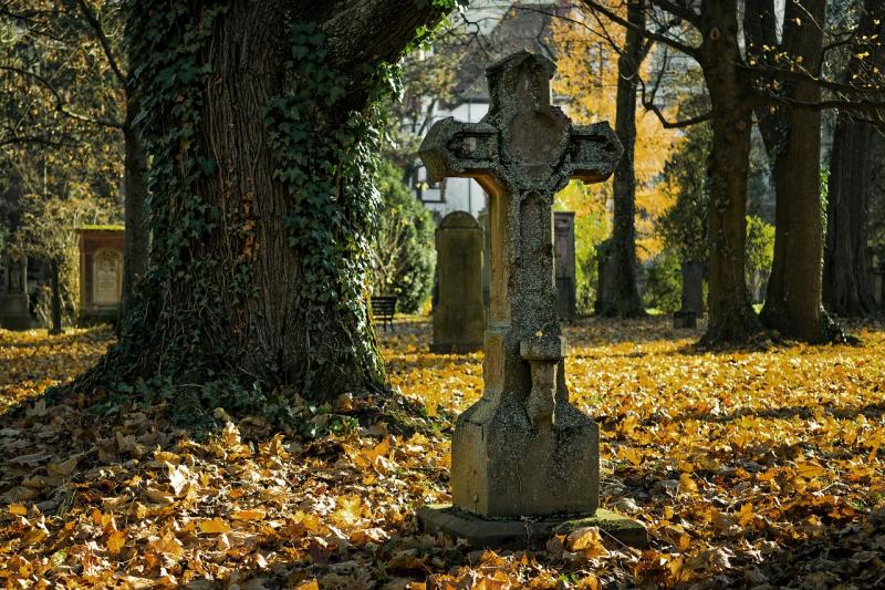 Information available on booking plots in new Longford cemetery extension 