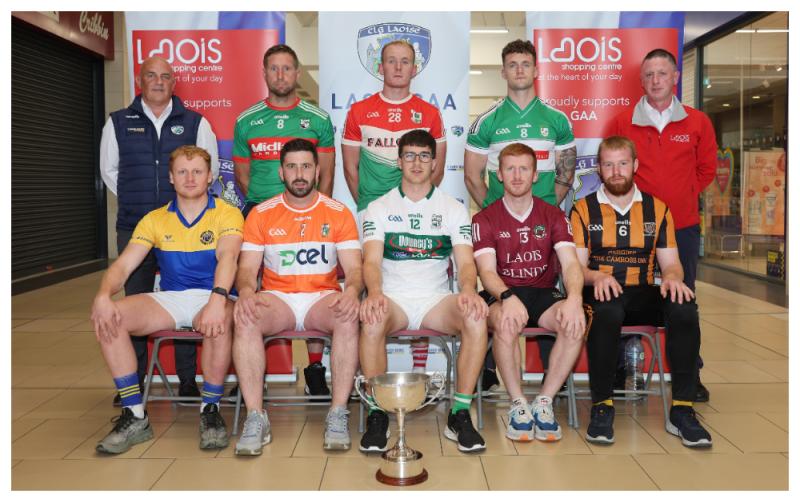 Laois Premier Intermediate Hurling Championship Preview