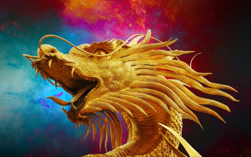 WHAT'S ON: Fire up your weekend by finding dragons in Carlow with herpetologist
