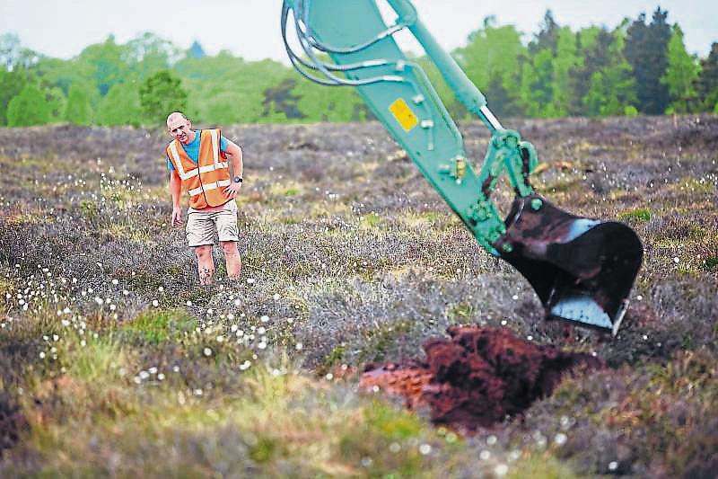 Bog