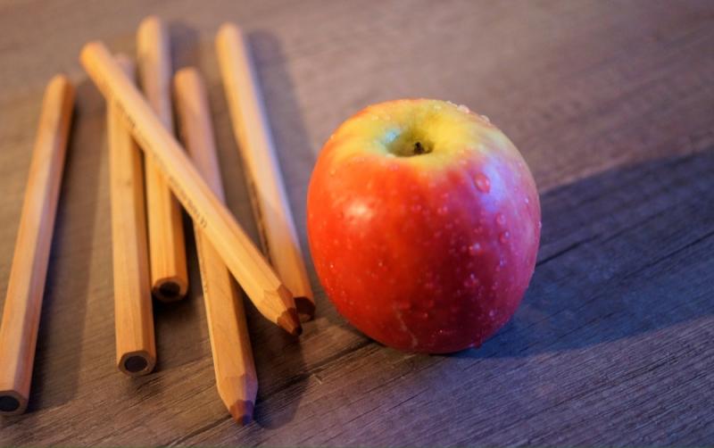 Carlow primary schools to receive mental health supports under a new pilot programme