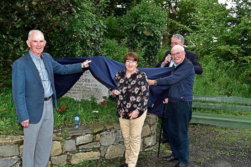 Gabriel McGoey memorial