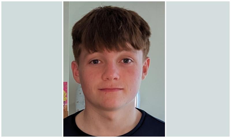 Garda appeal for missing Laois teen 