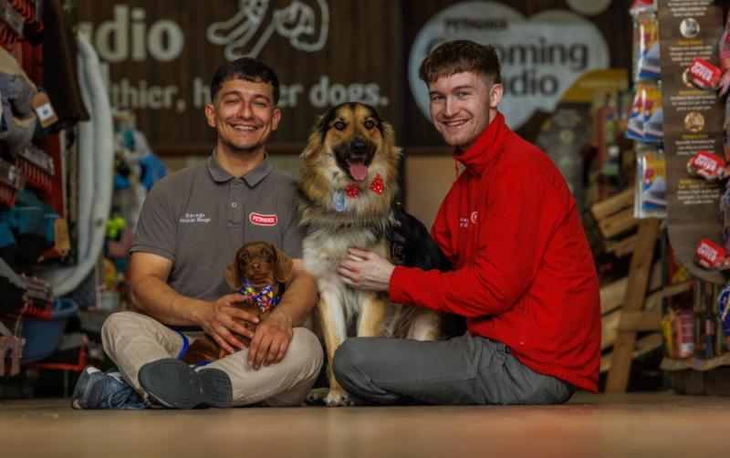 Carlow pups Kali and Odin enjoy dog-friendly cake ahead of Petmania Carlow's family fun day 