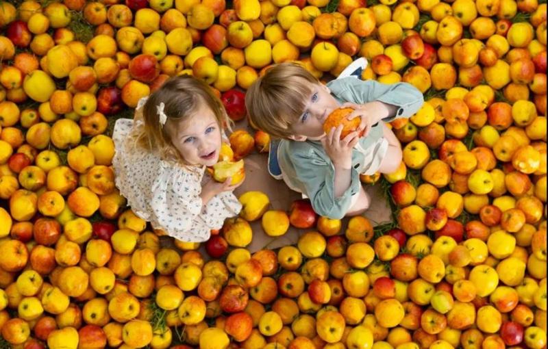 Waterford Harvest Festival announces packed programme for September 