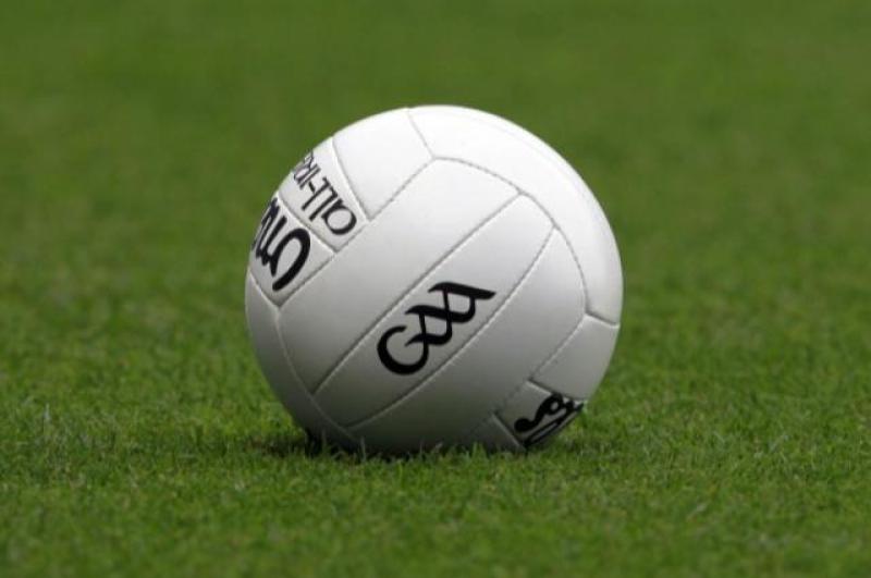 Laois GAA club looking to make big changes to club grounds