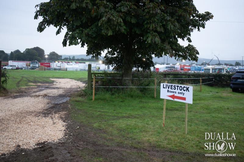 The Dualla Show set to take place today has been cancelled