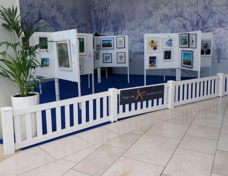 KILDARE: PopUpArt Newbridge invites general public to upcoming exhibition in well-known shopping centre