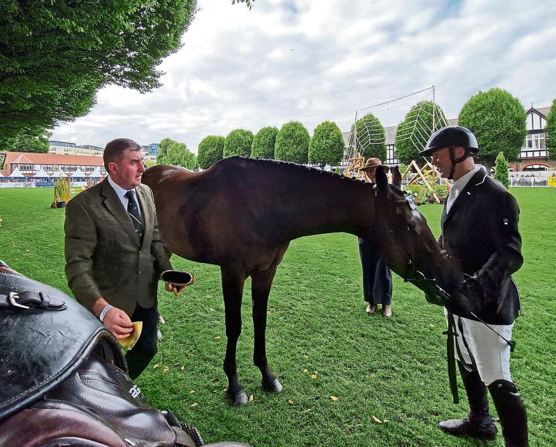 Longford at RDS horse show