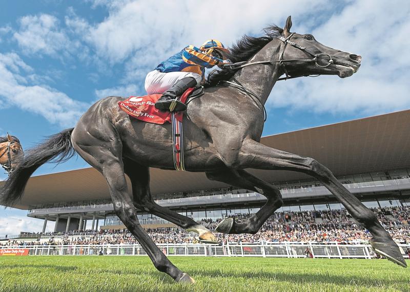 Racing: Stars all set for  Champions Festival