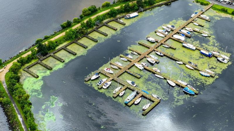Campaigners hold "wake" for Lough Neagh