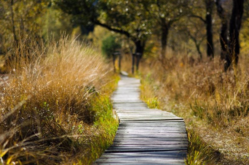 Entrance to Co Kilkenny nature reserve to receive upgrade