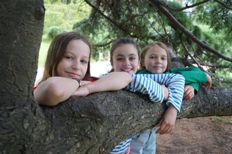 Primary Schools across Louth asked to ‘Go Nuts for Nature’ and plant a tree