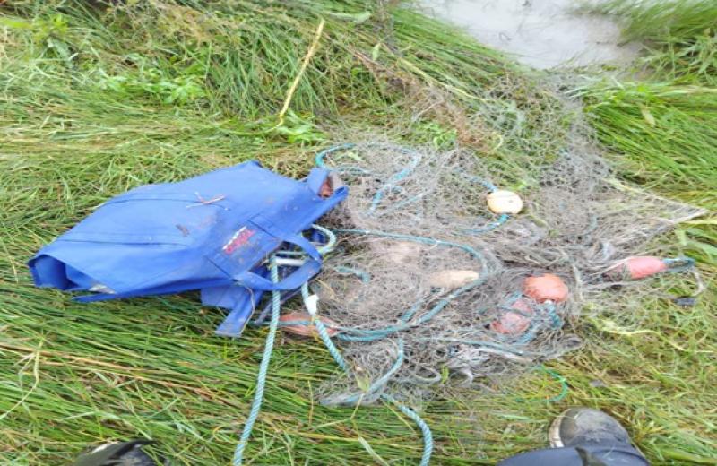 State agency seizes net in bid to tackle 'illegal fishing' in Kilkenny