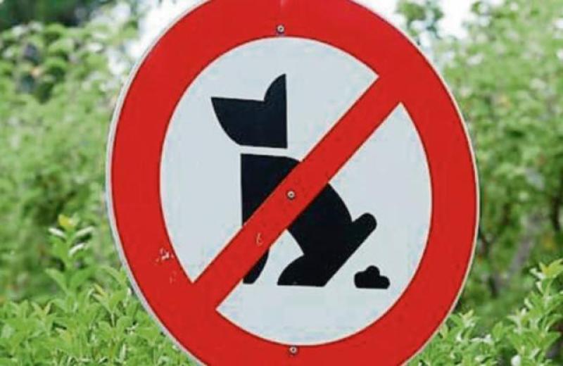 New dog foul and waste bin to erase litter 'black spot' at busy Clare bus stop