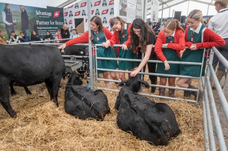 Clonmel secondary-school students presented with Certified Irish Angus calves at the Ploughing