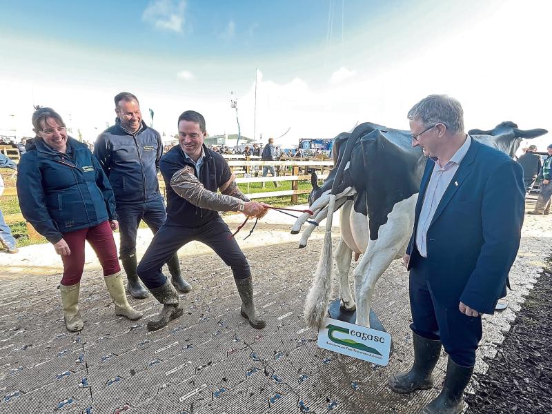 Launch of 11 calving simulators and 11 injecting simulators 