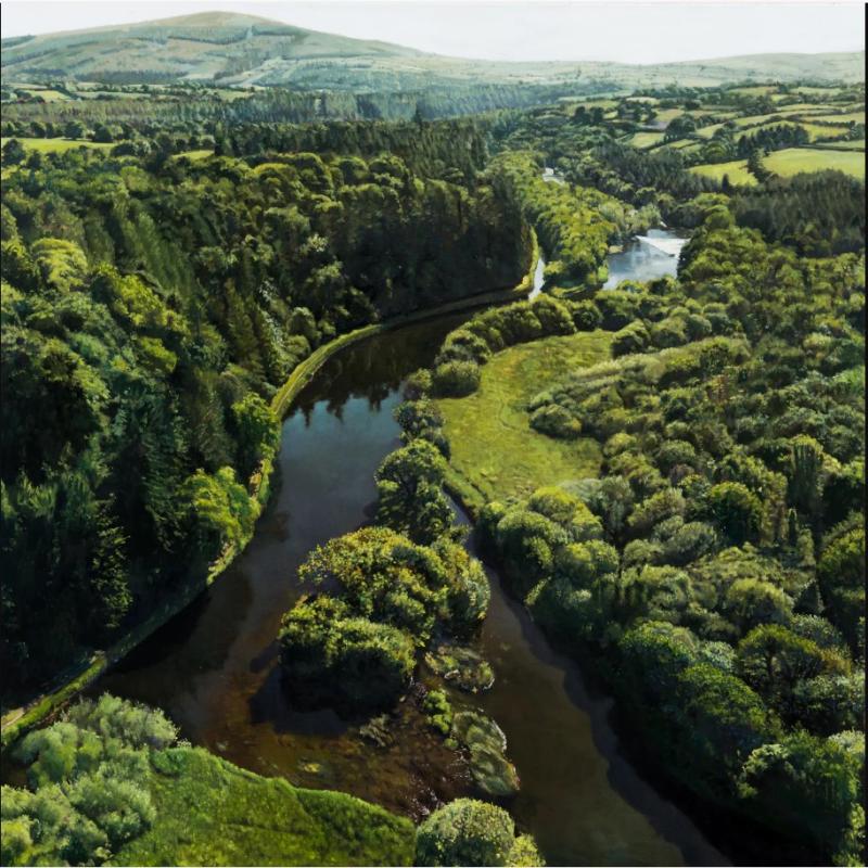 Renowned Kilkenny artist has solo show at the Royal Hibernian Academy