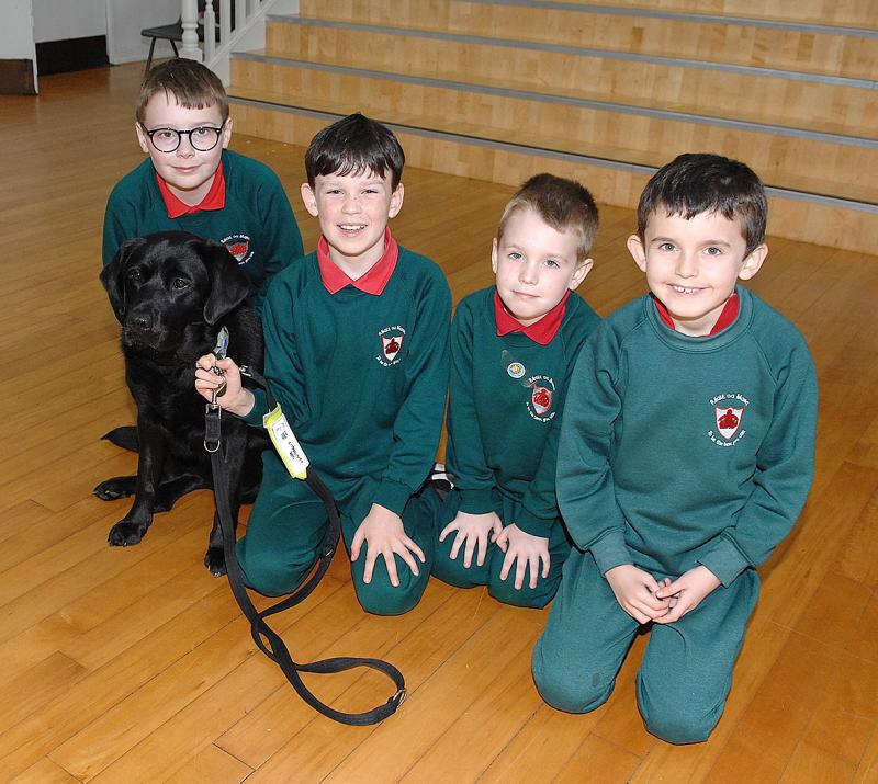 New School Community Dog at R&eacute;alt na Mara in Dundalk