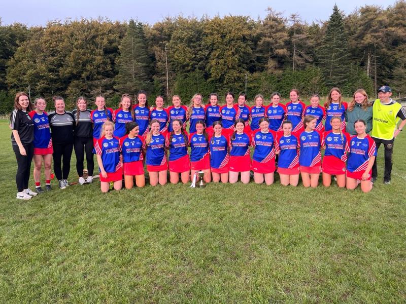 Lusmagh/Drumcullen Camogie celebrate victory in Intermediate Championship Final