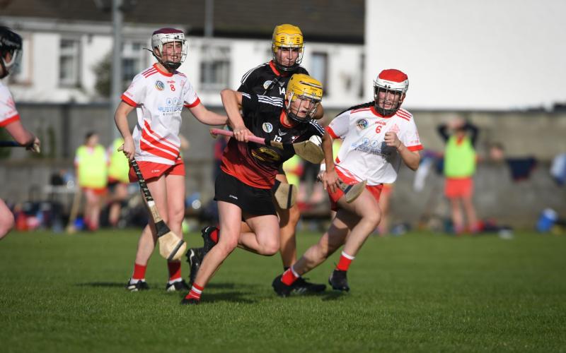 Louth Camogie: St. Bride’s triumph once more to clinch four in row