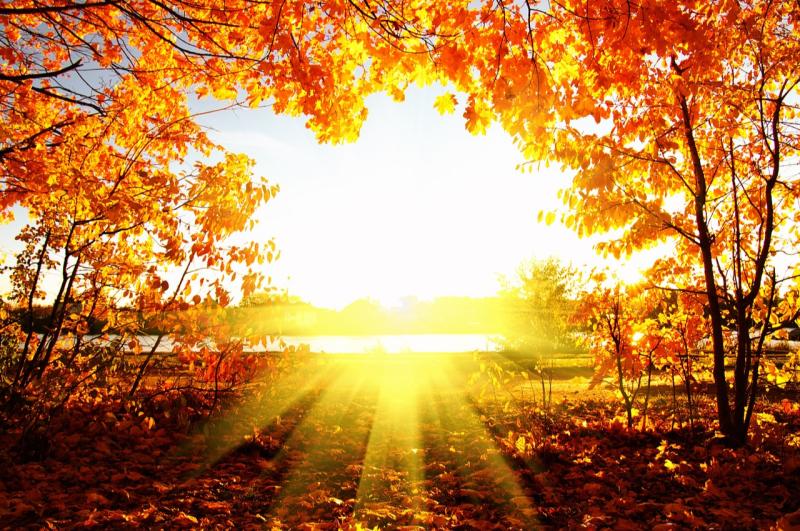 Autumn sunshine