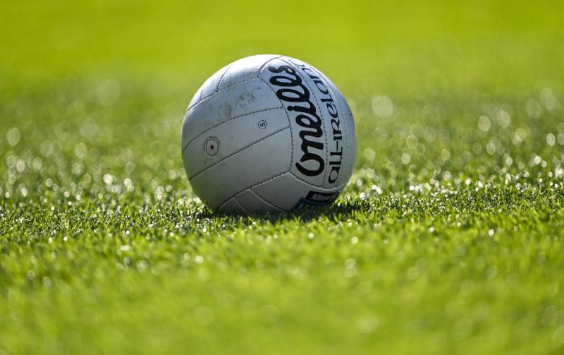 Award of €20,000 to Palatine and Ballinkillen GAA Club welcomed