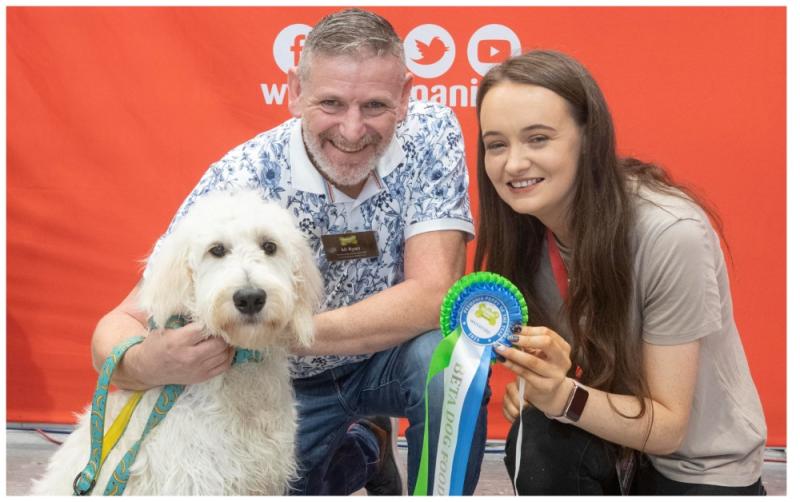 Puppy represents Waterford store at Puppy of the Year competition