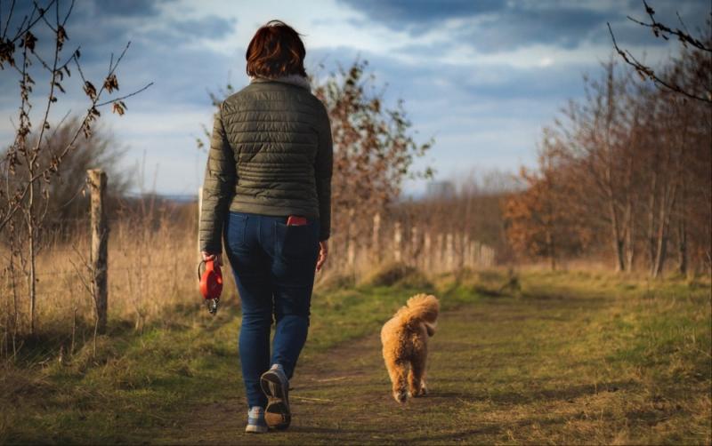 Carlow Sports Partnership are hosting a free Winter Walking Series across the county