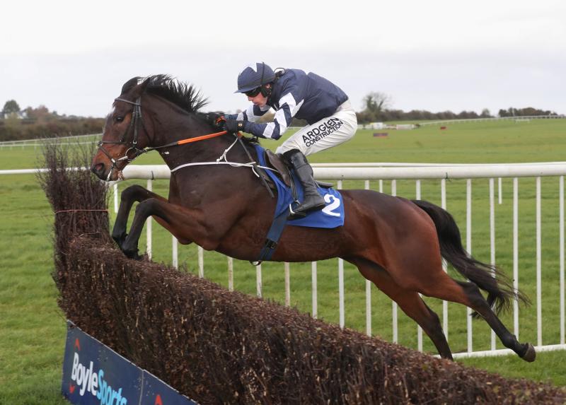 Top week for Tipperary jockeys and trainers with success across the country