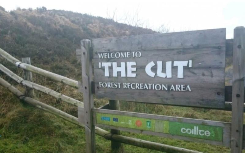 'Hard to find' viral signpost in neighbouring Laois has been replaced