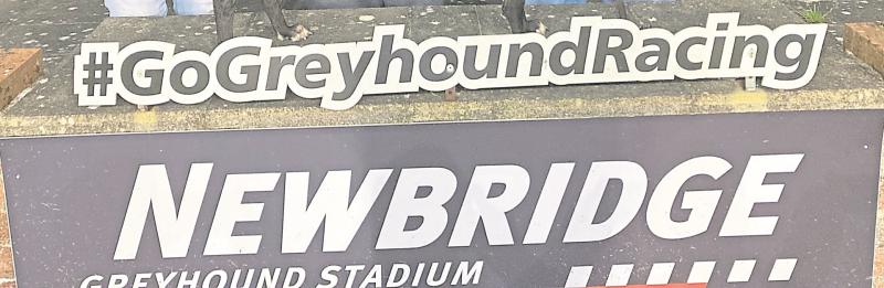 Monday night Dogs at Newbridge