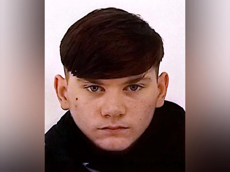 Gardai renew Laois missing person appeal for teen