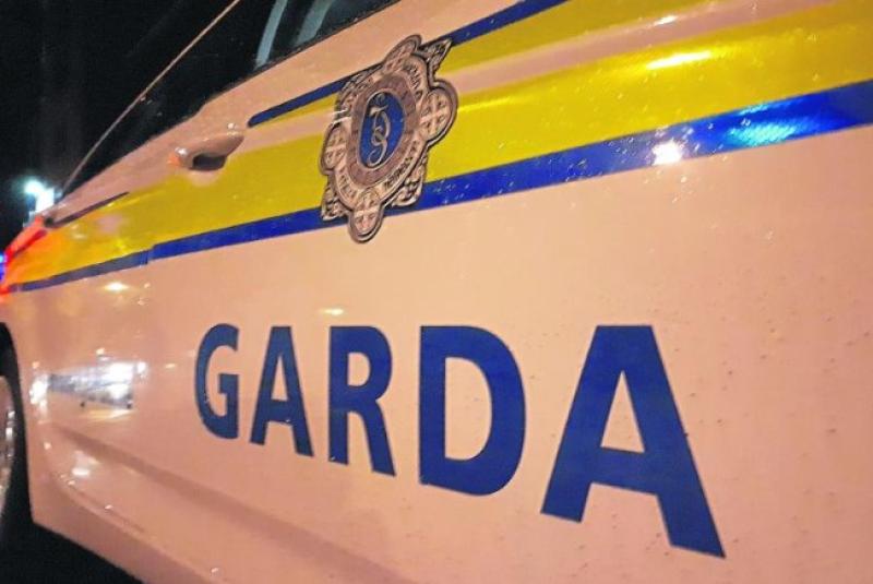 County Kilkenny resident allegedly caused criminal damage to garda car in County Kildare