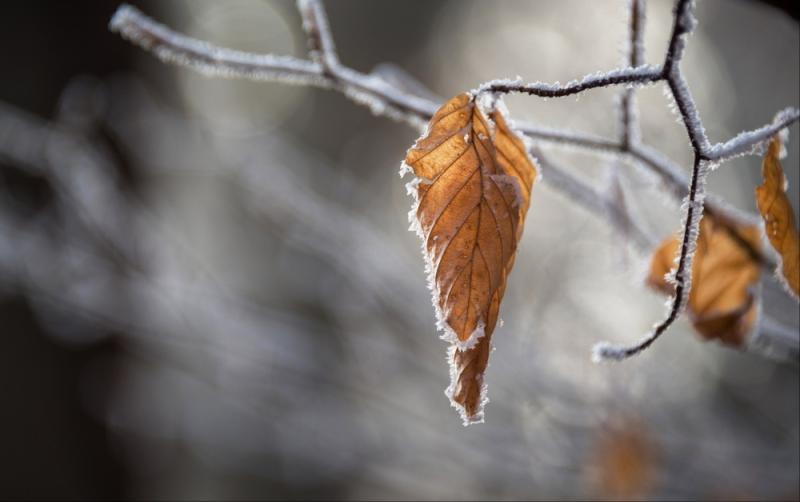 Turning gradually colder with frost and ice as temperatures fall as low as -2C
