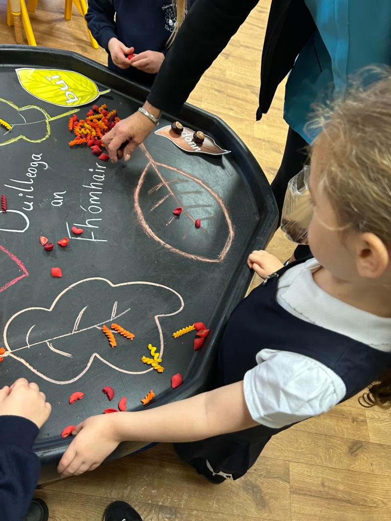  Derry Irish-medium Education has it all: Naíscoil, bunscoil agus meánscoil