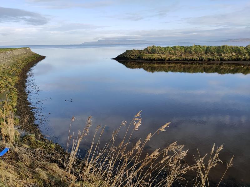 Muff River - Photo by Eglinton Local News