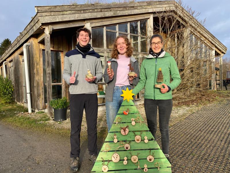 Sustainable Christmas at the Organic Centre