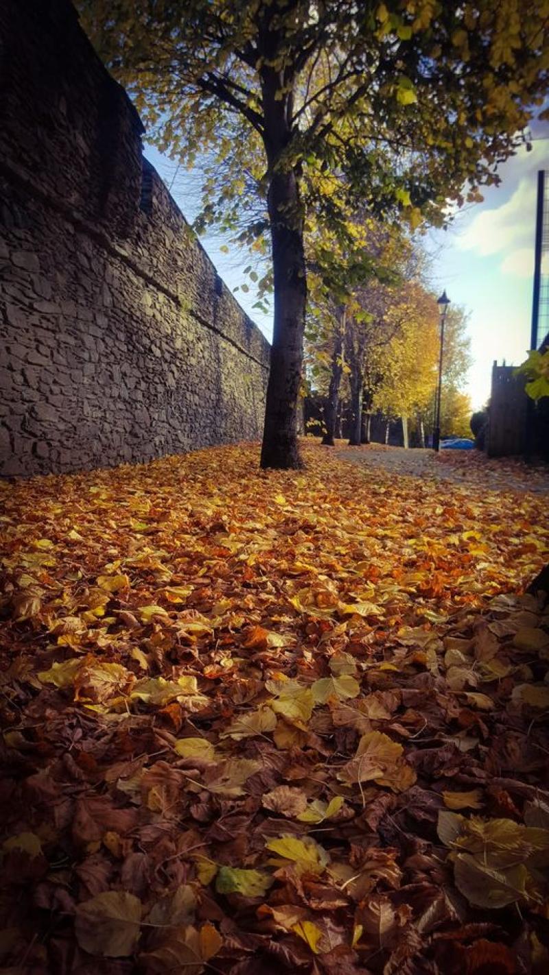 The Derry Walls Need Friends