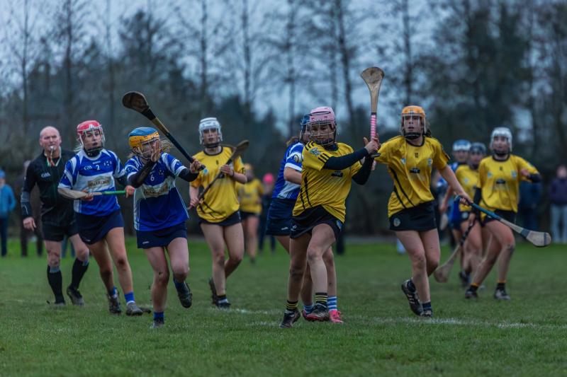 Celebrations in west Tipperary as Kickhams win county camogie crown